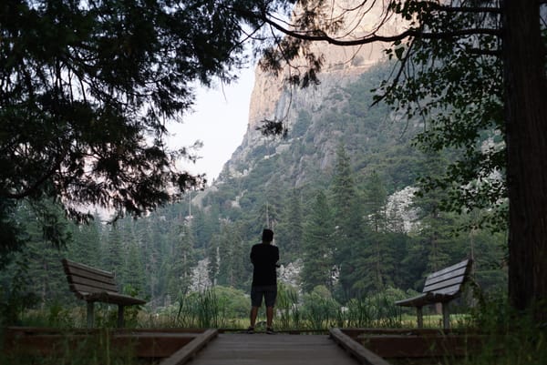 True Love in the midst of Suffering